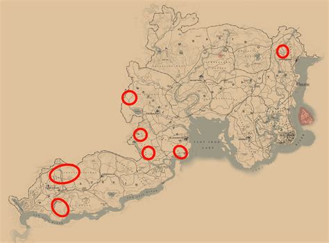 where to find cougars rdr2|rdr2 cougars locations.